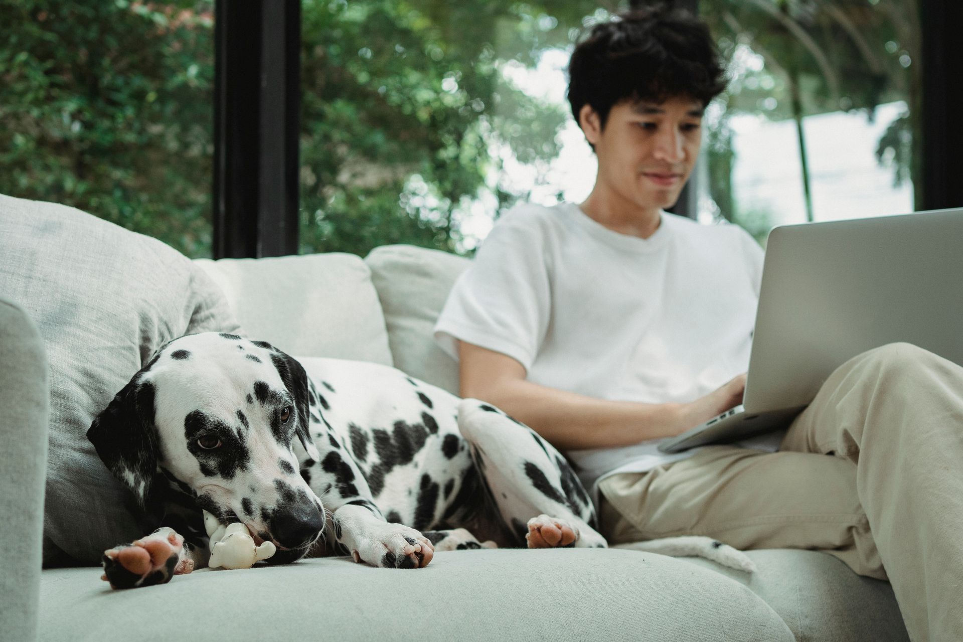 Erwachsener mit Laptop und Hund zu Hause, allgemeines Lifestyle-Foto